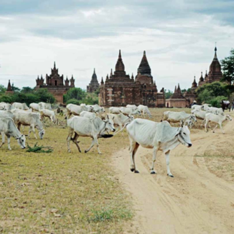 MYANMAR BAGAN 2016